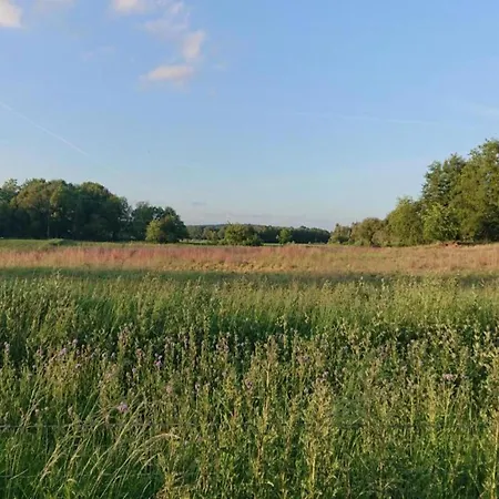 Vakantiehuis In Meeussen With Private Garden *