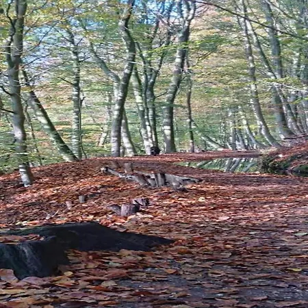 In Meeussen With Private Garden Vakantiehuis