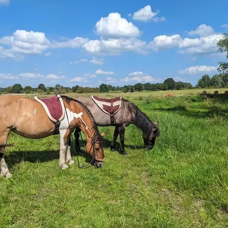 Vakantiehuis In Meeussen With Private Garden