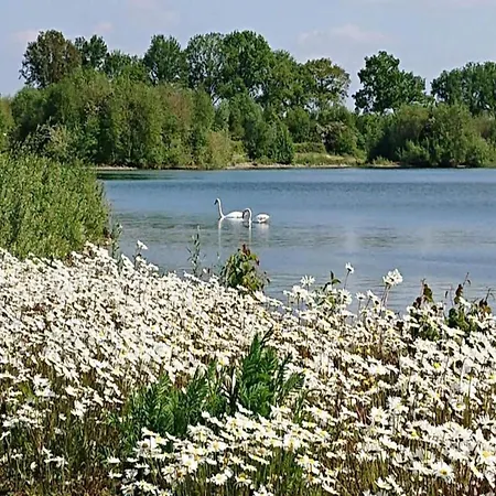 別荘 With Garden Near Mookerplas *