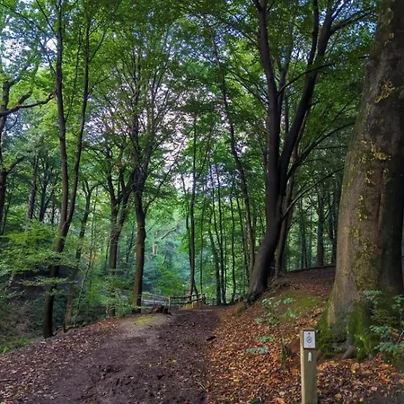 Vakantiehuis In Meeussen With Private Garden