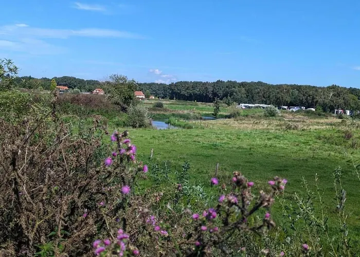 Сasa de vacaciones In Meeussen With Private Garden Plasmolen