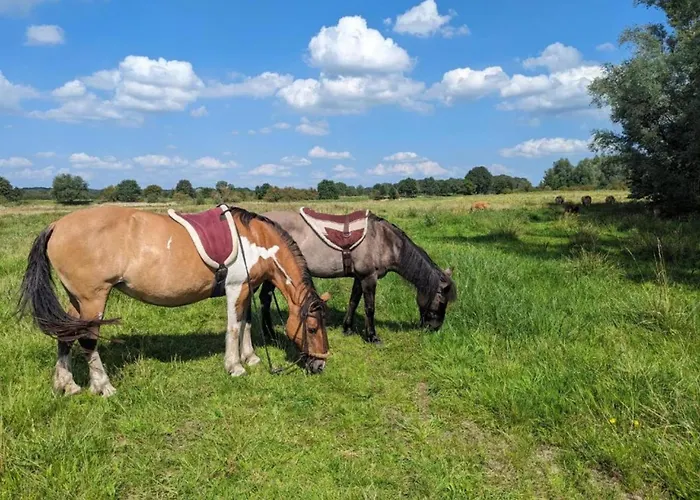 Сasa de vacaciones In Meeussen With Private Garden