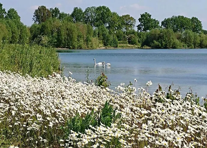 Сasa de vacaciones In Meeussen With Private Garden *