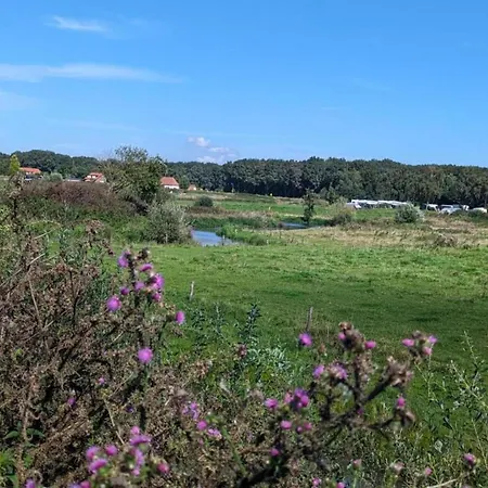 別荘 In Meeussen With Private Garden Plasmolen