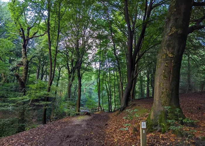 別荘 In Meeussen With Private Garden